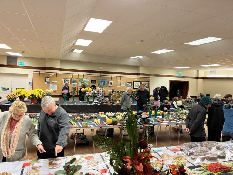 Pocklington Chrysanthemum Society Show 2024